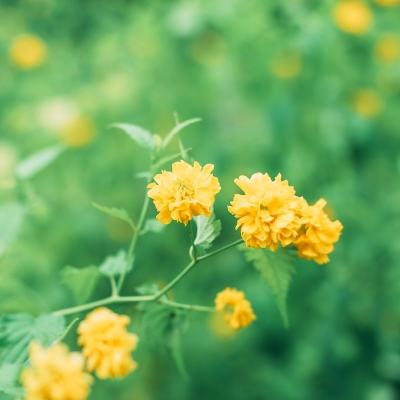 伊朗官员：战事结束必须按伊方时间表
